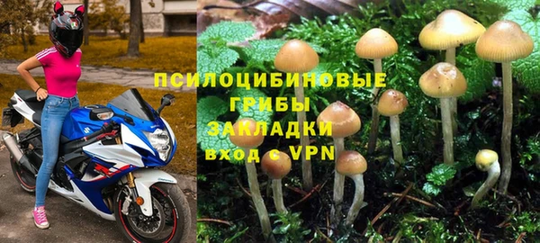 скорость Алексин